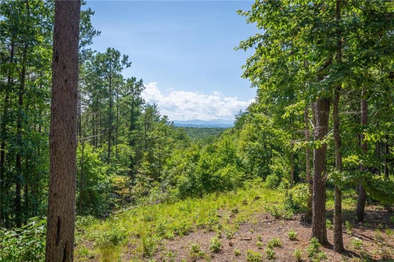 Property image 4 at 8519 South Mountain Drive, Nebo, NC 28761