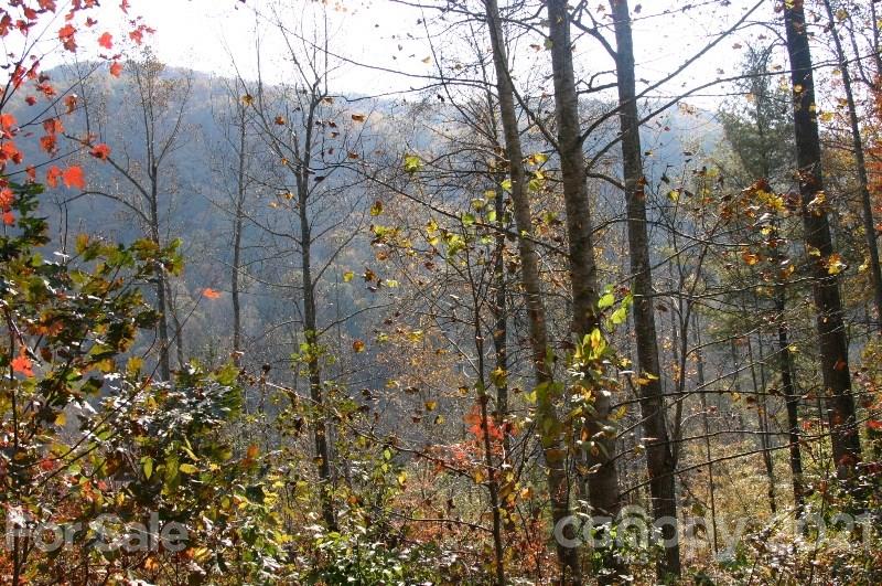 Property image 2 at 0000 Wood Stone Way, Hendersonville, NC 28792