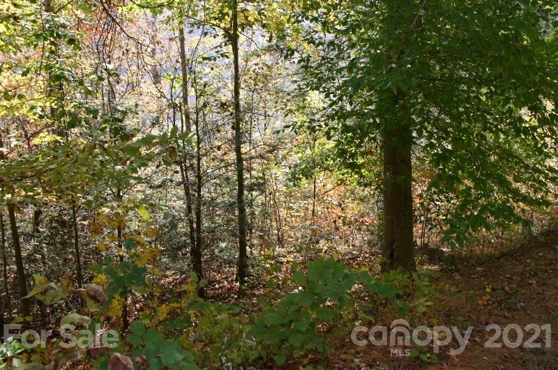 Property image 3 at 0000 Wood Stone Way, Hendersonville, NC 28792