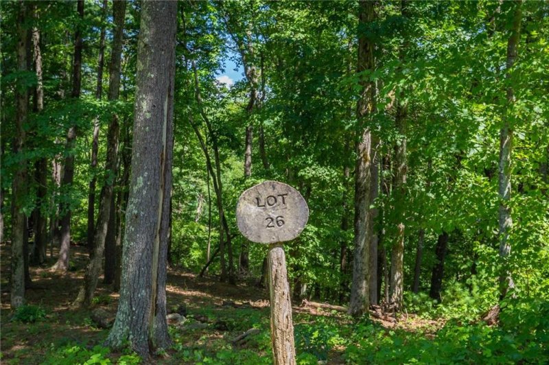 Property image 3 at 8520 Indian Trace None, Nebo, NC 28761