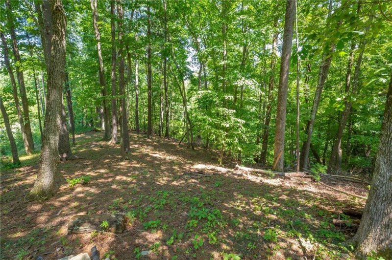 Property image 4 at 8520 Indian Trace None, Nebo, NC 28761