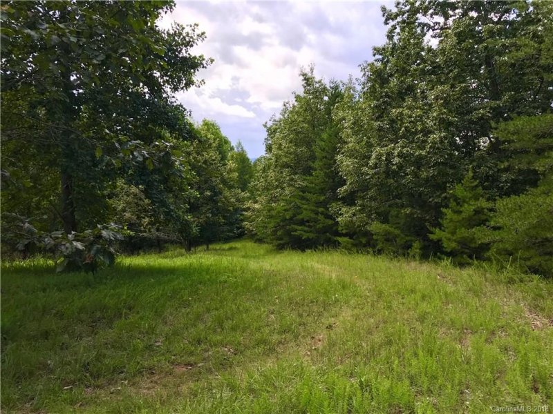 Property image 2 at 00 Bent Oak Drive, Tryon, NC 28782