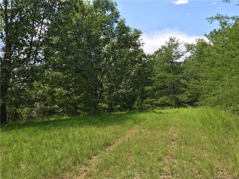 Property image 4 at 00 Bent Oak Drive, Tryon, NC 28782