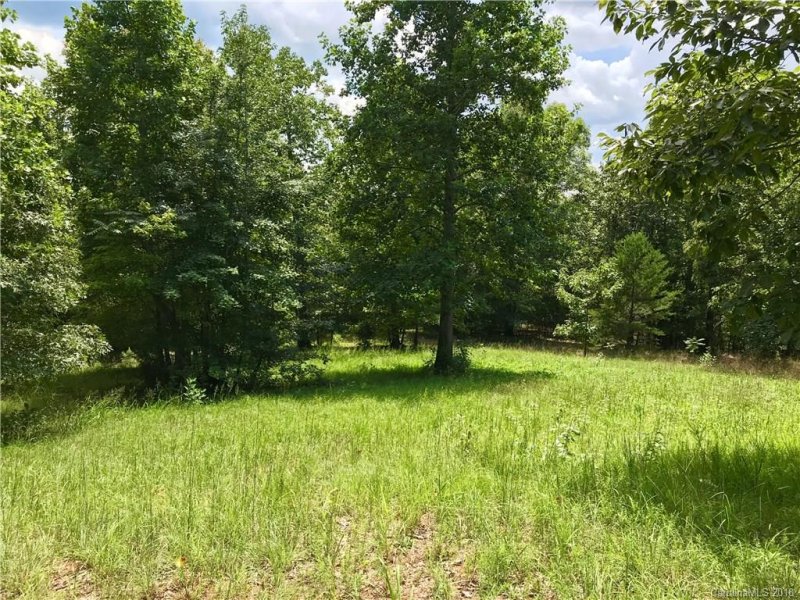 Property image 5 at 00 Bent Oak Drive, Tryon, NC 28782