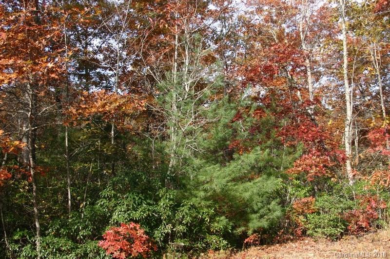 Property image 3 at 0000 Majestic Ridge Drive, Hendersonville, NC 28792