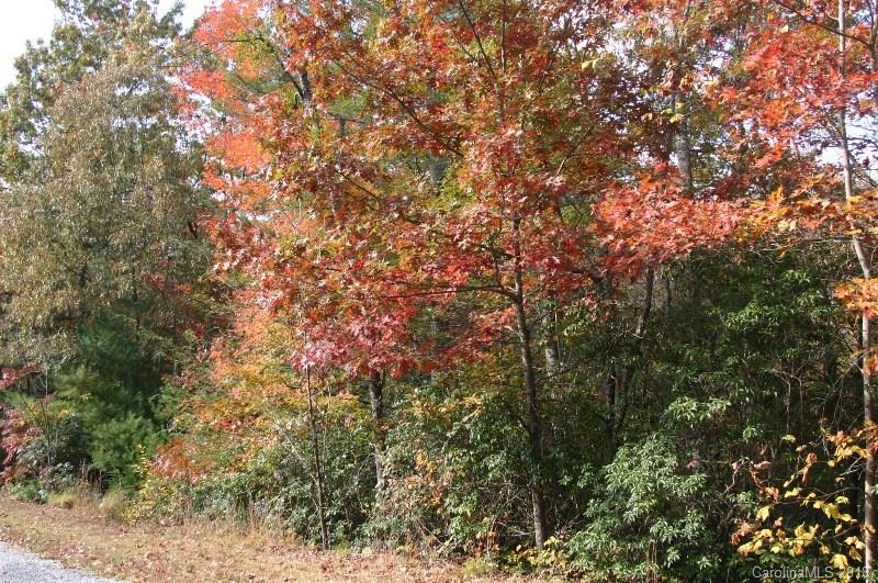 Property image 4 at 0000 Majestic Ridge Drive, Hendersonville, NC 28792