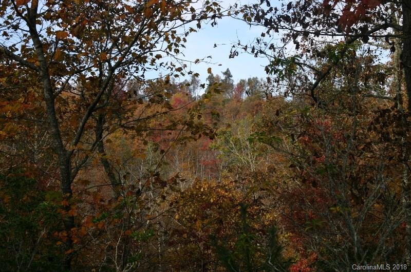 Property image 3 at 0000 Majestic Ridge Drive, Hendersonville, NC 28792