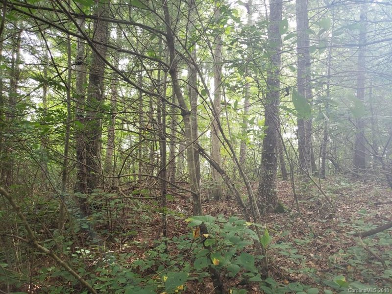 Property image 4 at 108 Dream Forest Trail, Waynesville, NC 28785