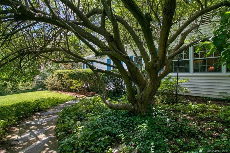 Property image 4 at 3 Forestdale Drive, Asheville, NC 28803