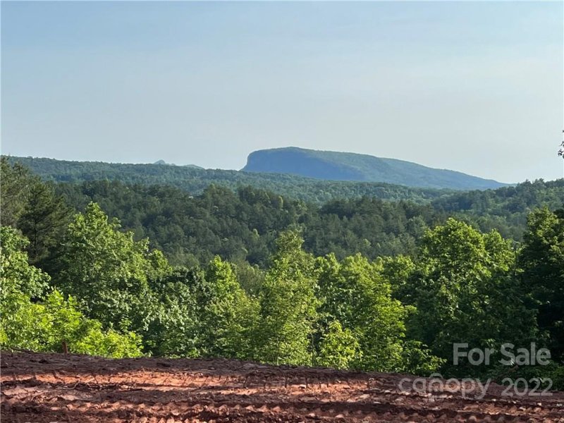 Lot 4 Pisgah Preserve Drive