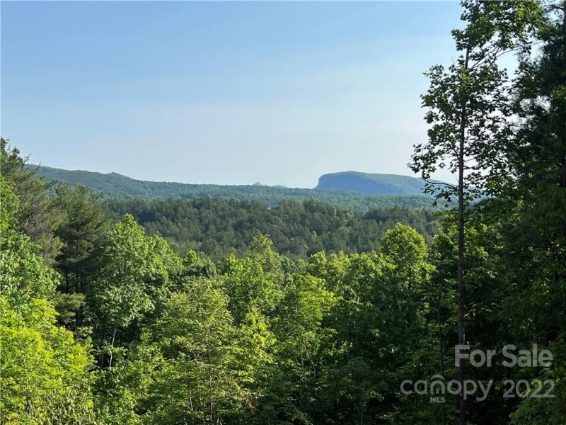 Property image 4 at Lot 4 Pisgah Preserve Drive, Nebo, NC 28761