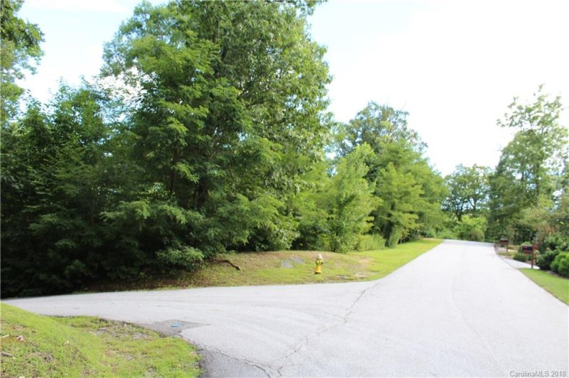 Property image 2 at 000 Ladys Fern Trail, Hendersonville, NC 28739