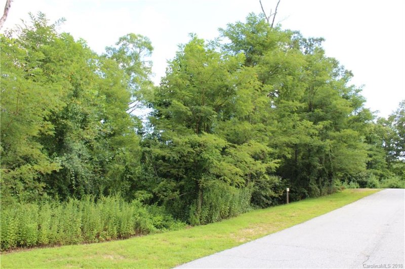 Property image 3 at 000 Ladys Fern Trail, Hendersonville, NC 28739