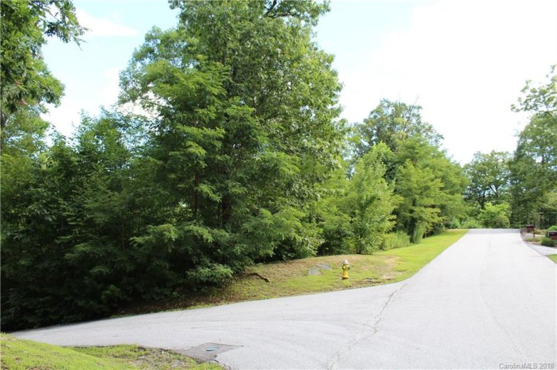 Property image 4 at 000 Ladys Fern Trail, Hendersonville, NC 28739