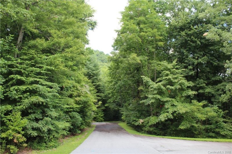 Property image 5 at 000 Ladys Fern Trail, Hendersonville, NC 28739