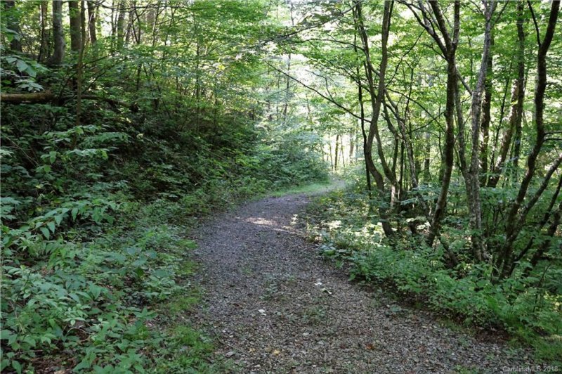 Property image 2 at 000 Countryside Drive, Barnardsville, NC 28709