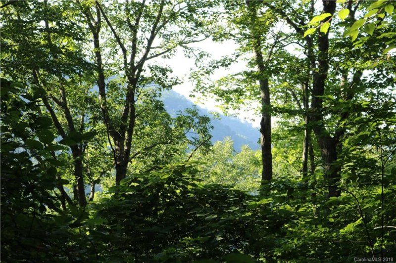 Property image 3 at 000 Countryside Drive, Barnardsville, NC 28709