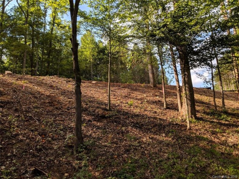 Property image 4 at 247 Windingwood Drive, Statesville, NC 28677