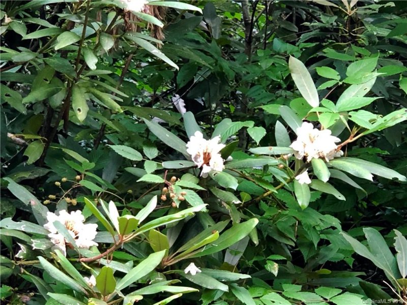 Property image 3 at 147 Sunrise Court, Sapphire, NC 28774