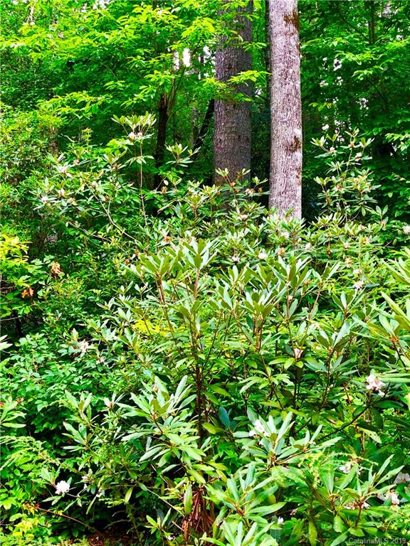 Property image 5 at 147 Sunrise Court, Sapphire, NC 28774