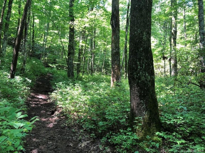 Property image 4 at Lot 18 Marshall Lake Road, Cedar Mountain, NC 28718