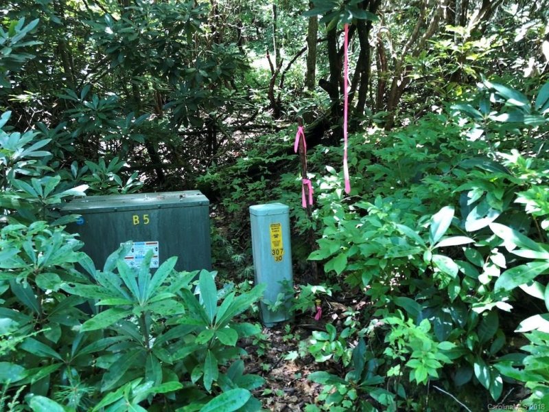 Property image 5 at Lot 18 Marshall Lake Road, Cedar Mountain, NC 28718