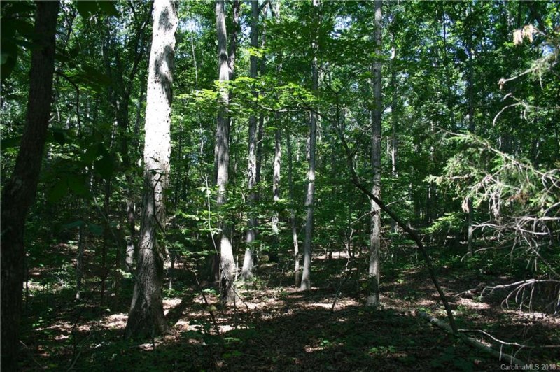 Property image 5 at 906 Woods Loop, Waxhaw, NC 28173