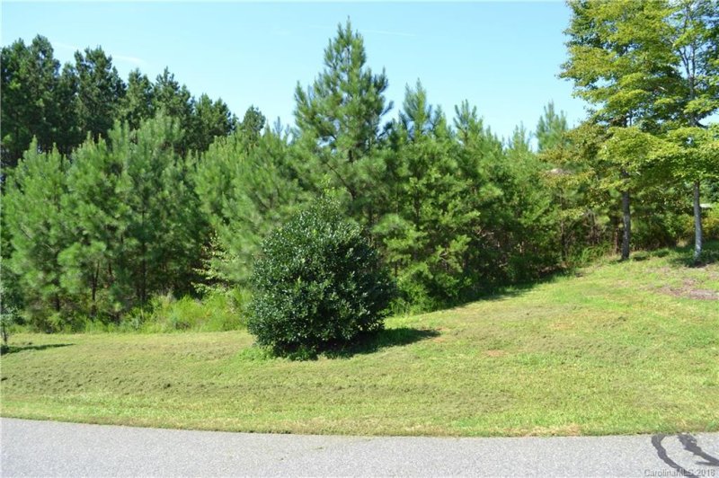 Property image 5 at 0 Stonecrest Parkway, Mill Spring, NC 28756