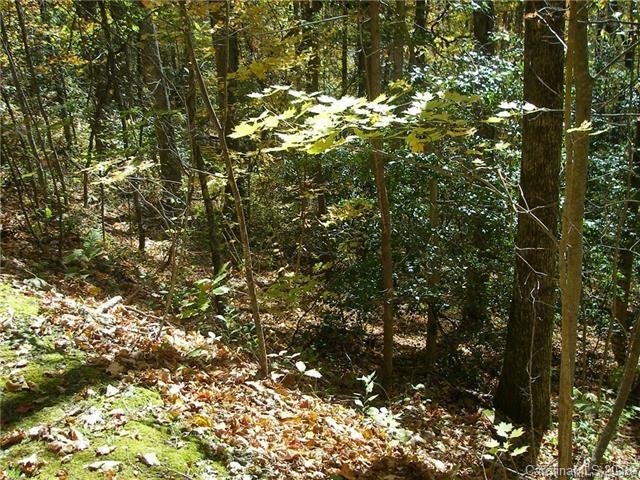 Property image 4 at 31 Fern Trail, Waynesville, NC 28786