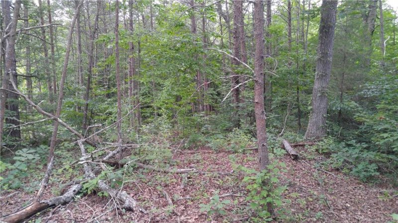 Property image 3 at Lot 14 Bent Creek Drive, Nebo, NC 28761