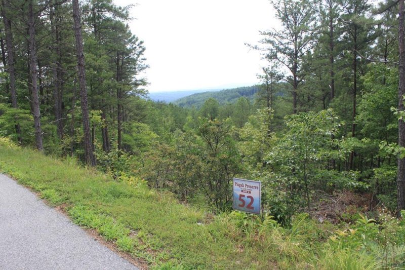 Property image 2 at 9302 Shortoff View Terrace, Nebo, NC 28761