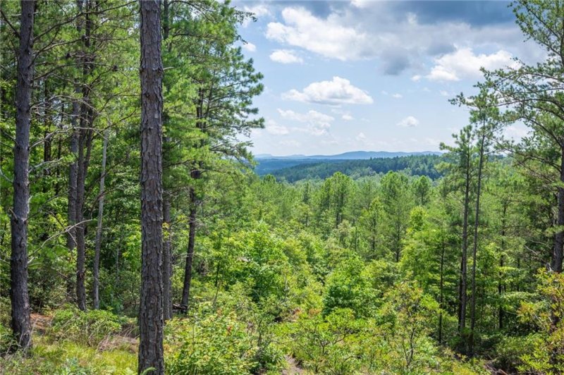 Property image 3 at 9302 Shortoff View Terrace, Nebo, NC 28761