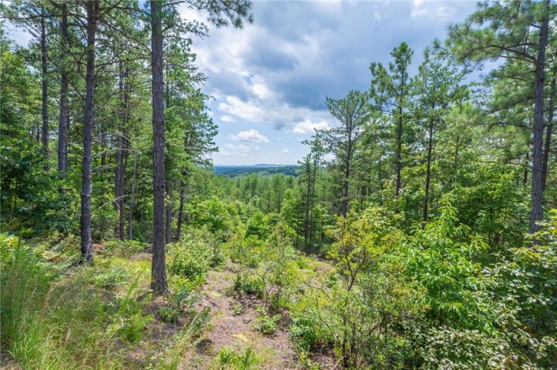 Property image 4 at 9302 Shortoff View Terrace, Nebo, NC 28761