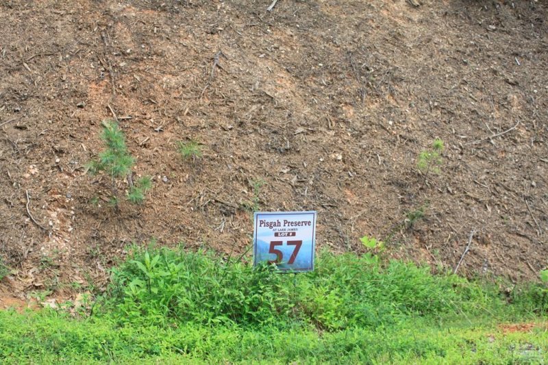 Property image 2 at 9587 Shortoff View Terrace, Nebo, NC 28761