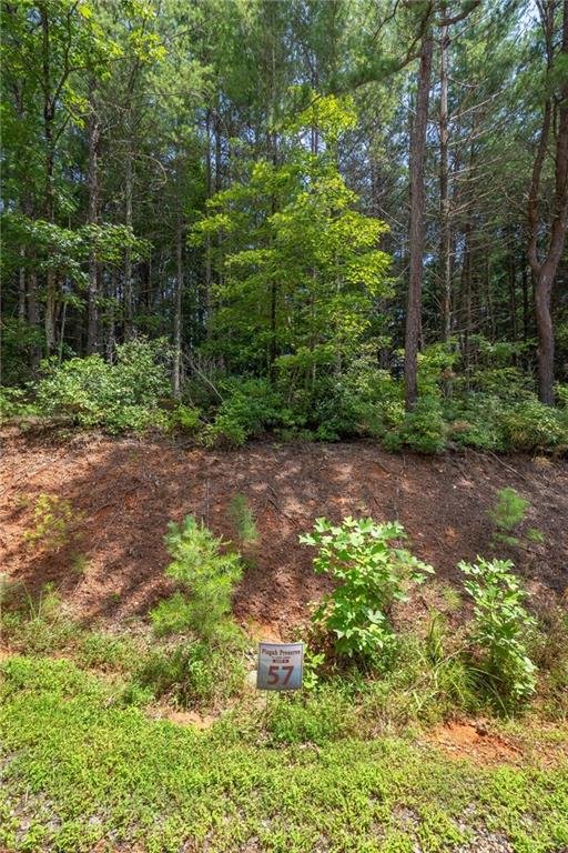 Property image 3 at 9587 Shortoff View Terrace, Nebo, NC 28761