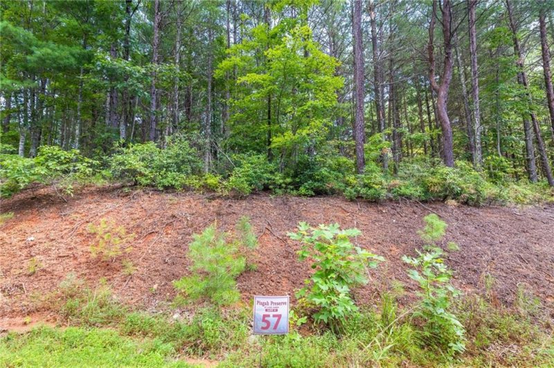 Property image 4 at 9587 Shortoff View Terrace, Nebo, NC 28761