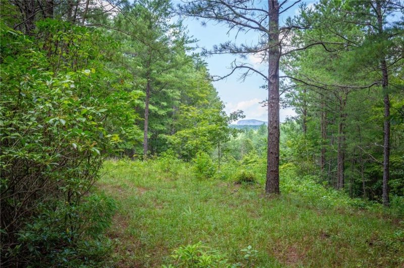 Property image 3 at 9533 Shortoff View Terrace, Nebo, NC 28761