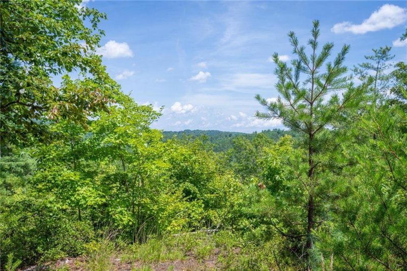 Property image 4 at 9219 Shortoff View Terrace, Nebo, NC 28761