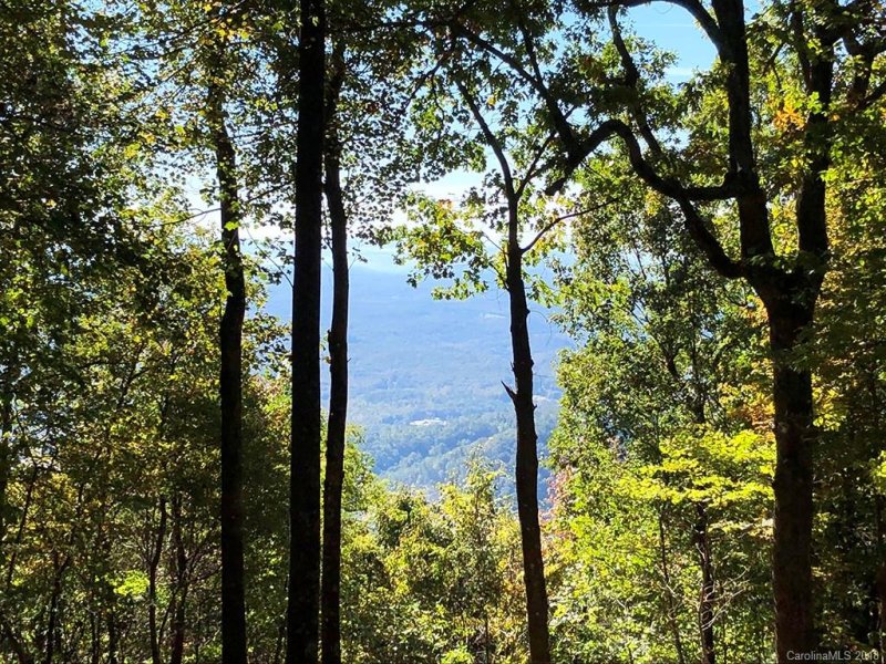 Property image 2 at 119 Bear Run Drive, Columbus, NC 28722