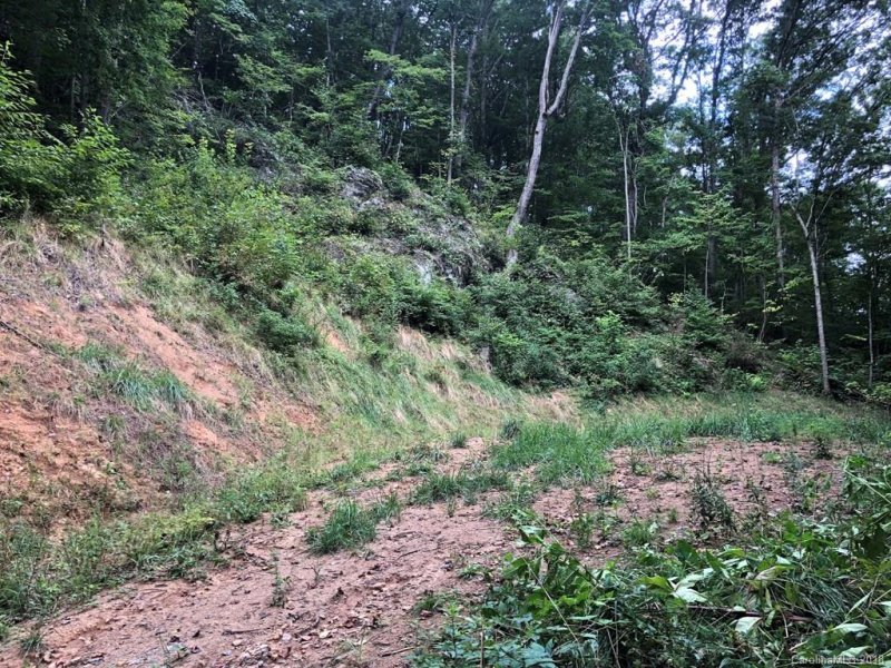 Property image 2 at 360 Grand Oak Trail, Waynesville, NC 28785