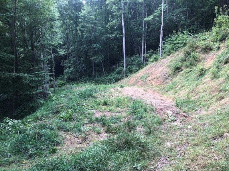 Property image 4 at 360 Grand Oak Trail, Waynesville, NC 28785