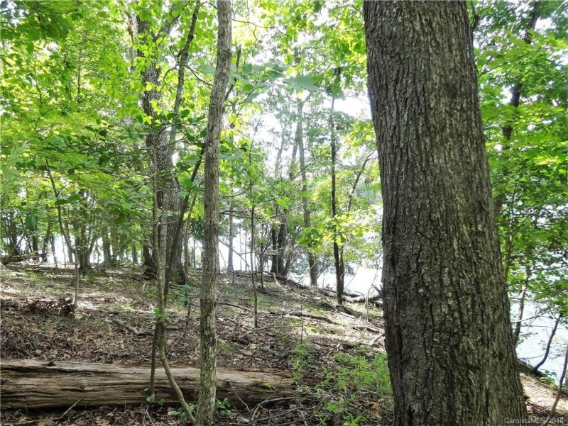 Property image 5 at 000 Loblolly Drive, Statesville, NC 28677