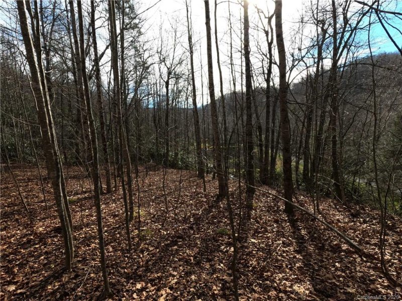 Property image 3 at 00 Golden Trout Drive, Spruce Pine, NC 28777