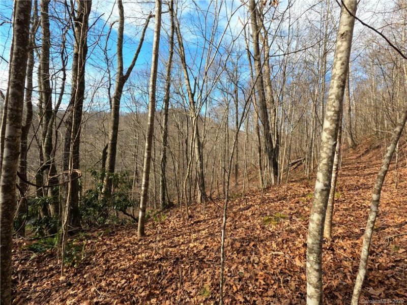 Property image 4 at 00 Golden Trout Drive, Spruce Pine, NC 28777