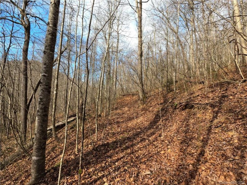 Property image 5 at 00 Golden Trout Drive, Spruce Pine, NC 28777