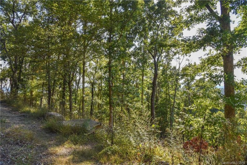 Property image 4 at 220 Mostert Drive, Asheville, NC 28804