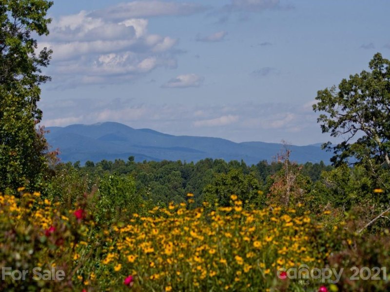 Property image 5 at 256 Monarch Road, Hendersonville, NC 28739