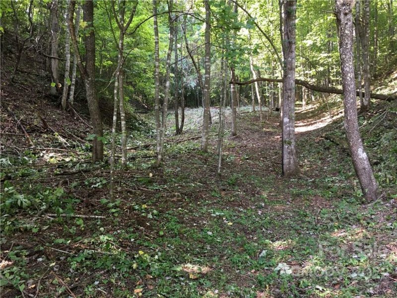 Property image 4 at 190 Yosemite Falls Road, Black Mountain, NC 28711