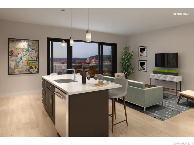 Property image 3 at 145 Biltmore Avenue, Asheville, NC 28801