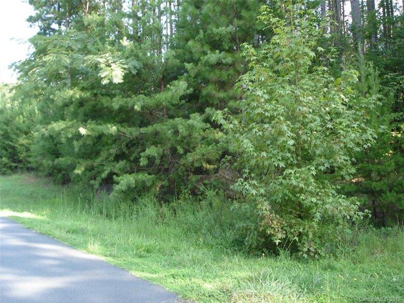 173 Northington Woods Drive